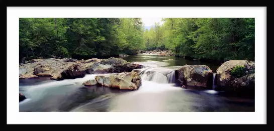 Rivière de little Pigeon - paysage d'automne avec animaux