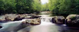 Rivière de little Pigeon - paysage d'automne avec animaux