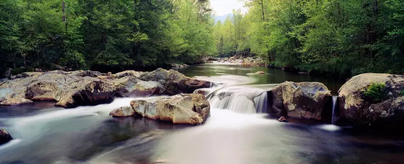 Rivière de little Pigeon - paysage d'automne avec animaux