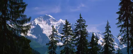 Eclat alpin en Suisse - affiche montagne
