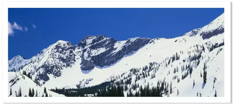 Little Cottonwood Canyon - affiche montagne