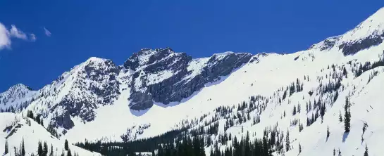 Little Cottonwood Canyon - affiche montagne