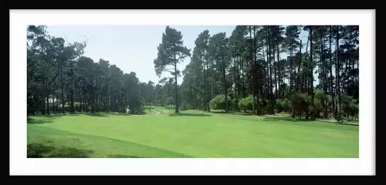 Golf de Spyglass - affiche de golf