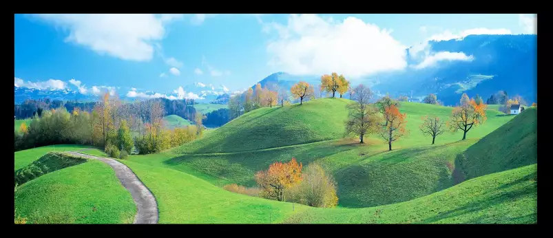 Paysage vallonné de Zoug - affiche paysage