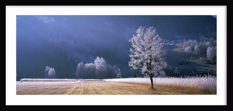 Arbre givré dans le Tyrol - tableau nature