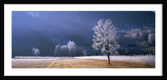 Arbre givré dans le Tyrol - tableau nature