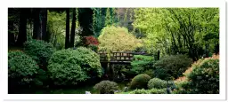 Jardin japonais d'Oregon - décor japonais