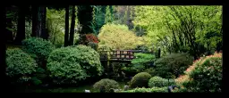 Jardin japonais d'Oregon - décor japonais