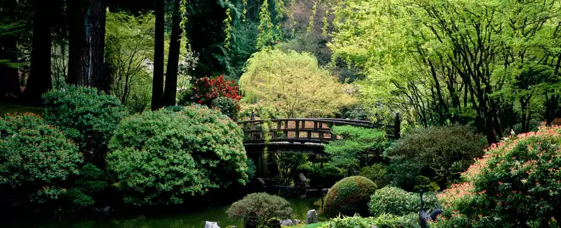 Jardin japonais d'Oregon - décor japonais