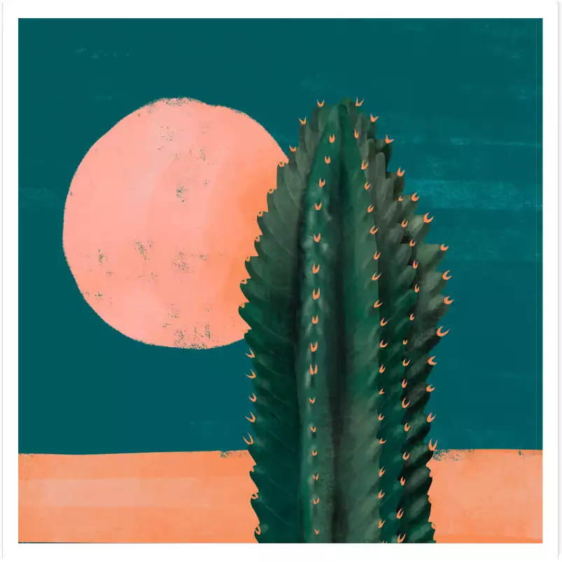 Cactus et soleil rose - affiche cactus