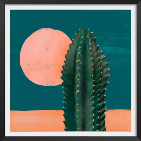 Cactus et soleil rose - affiche cactus