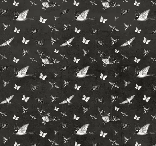 Papillons de nuit - papier peint oiseaux