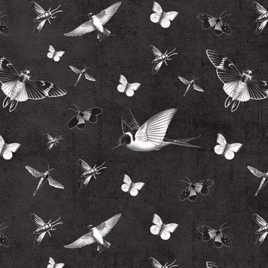 Papillons de nuit - papier peint oiseaux