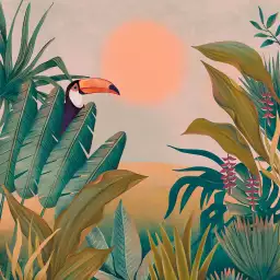 Toucan au coucher du soleil - cadre oiseaux tropicaux