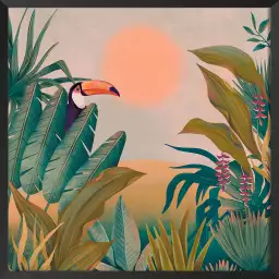 Toucan au coucher du soleil - cadre oiseaux tropicaux