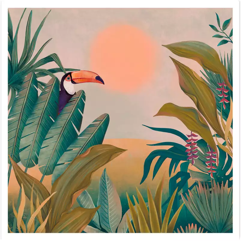 Toucan au coucher du soleil - cadre oiseaux tropicaux