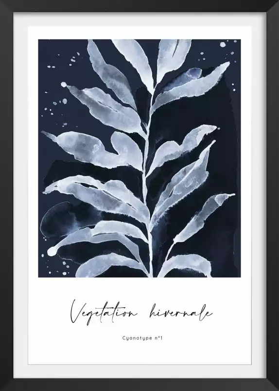 Végetation hivernale - poster plante