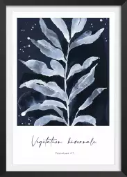 Végetation hivernale - poster plante