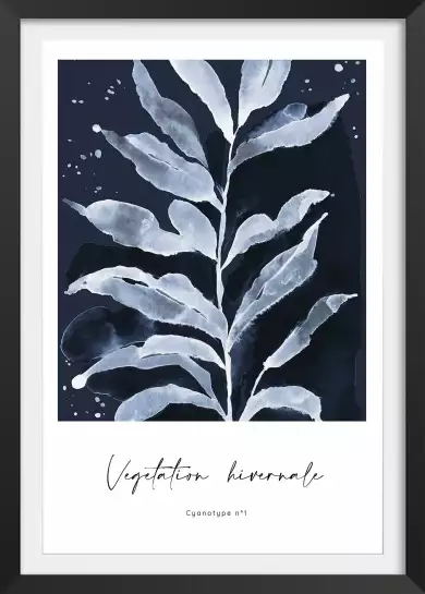 Végetation hivernale - poster plante