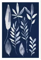 Effet cyanotype - poster plante