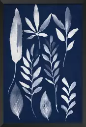 Effet cyanotype - poster plante