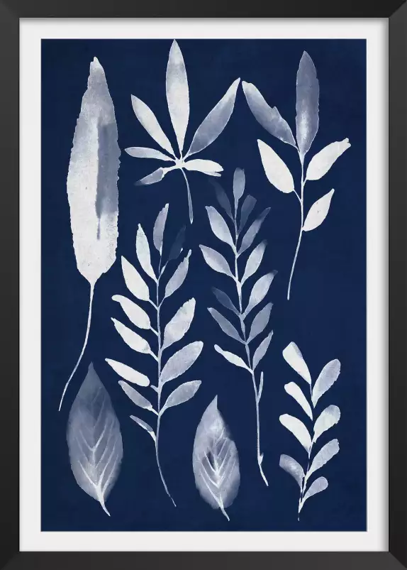 Effet cyanotype - poster plante