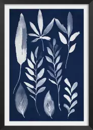 Effet cyanotype - poster plante