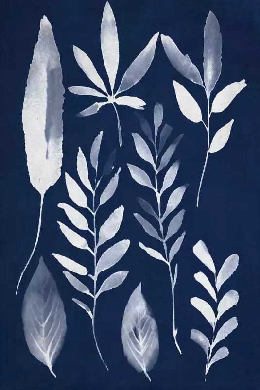 Effet cyanotype - poster plante