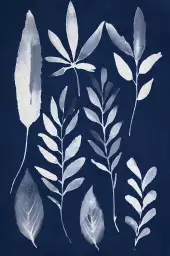 Effet cyanotype - poster plante