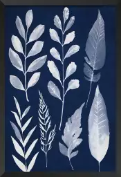 Essai Cyanotype - poster plante