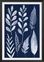 Essai Cyanotype - poster plante