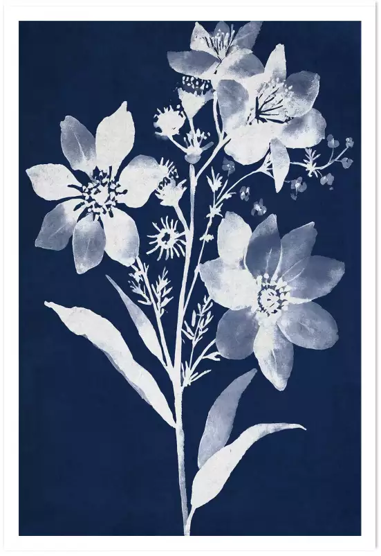 Bouquet cyanotype - affiche fleurs