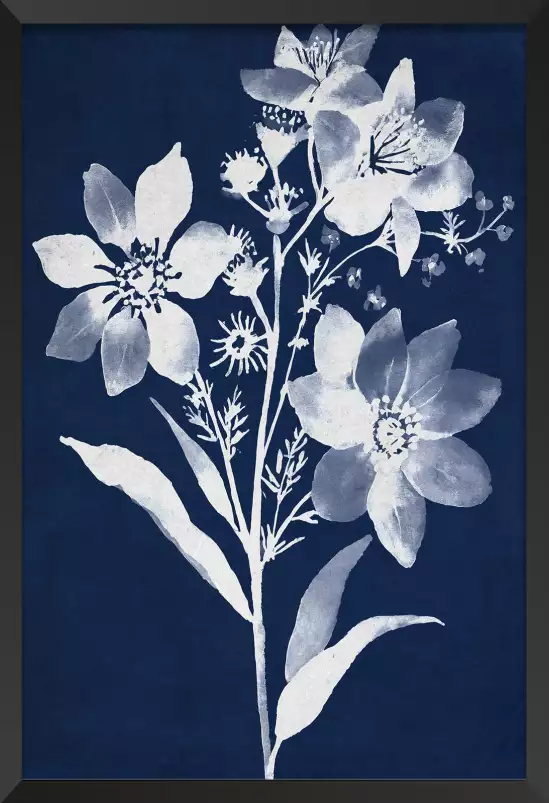 Bouquet cyanotype - affiche fleurs