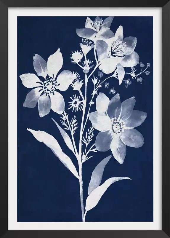 Bouquet cyanotype - affiche fleurs