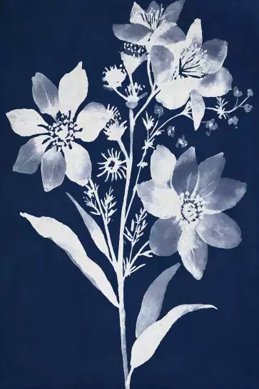 Bouquet cyanotype - affiche fleurs