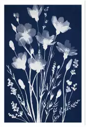 Champ en cyanotype - poster fleurs