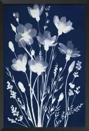 Champ en cyanotype - poster fleurs