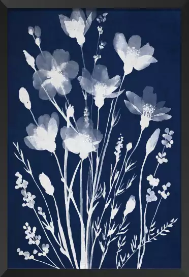 Champ en cyanotype - poster fleurs