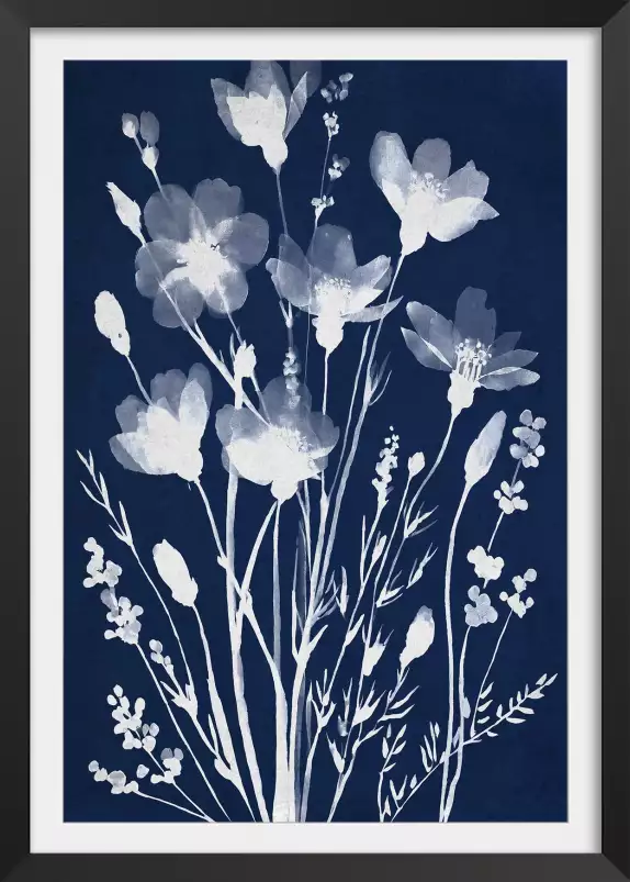 Champ en cyanotype - poster fleurs