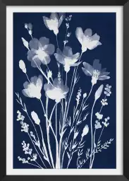 Champ en cyanotype - poster fleurs