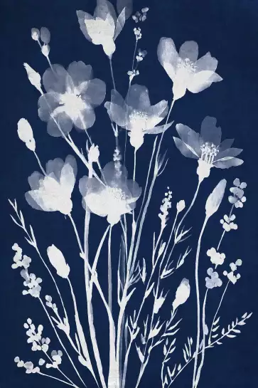 Champ en cyanotype - poster fleurs