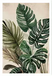 Monstera et cie - affiche feuille