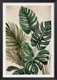 Monstera et cie - affiche feuille