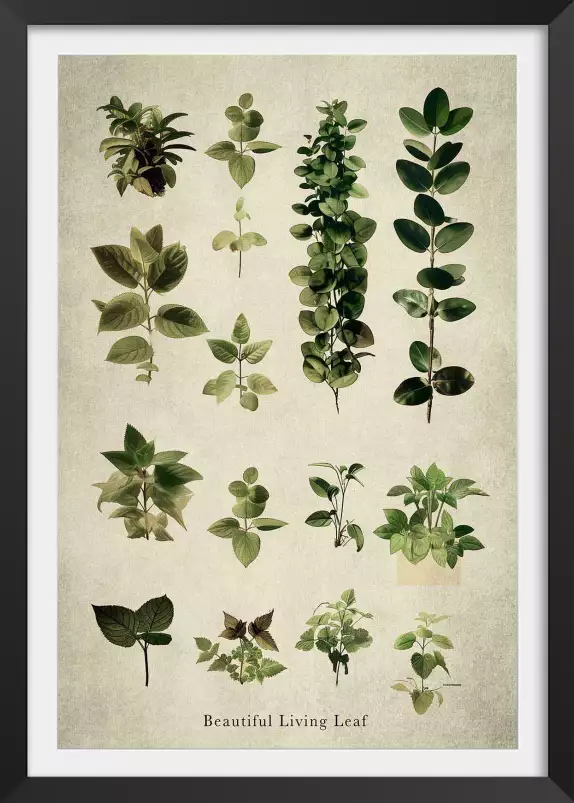 Essai feuilles vertes - affiche de fleurs