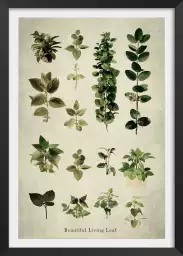 Essai feuilles vertes - affiche de fleurs