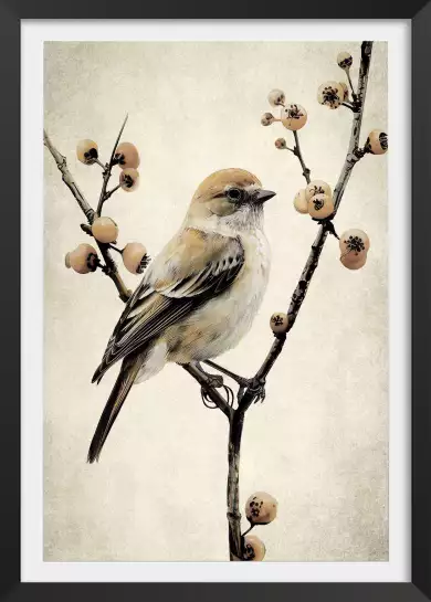 Sur sa branche - affiche oiseaux