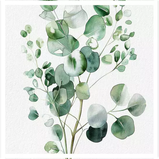 Aquarelle et eucalyptus - poster plante