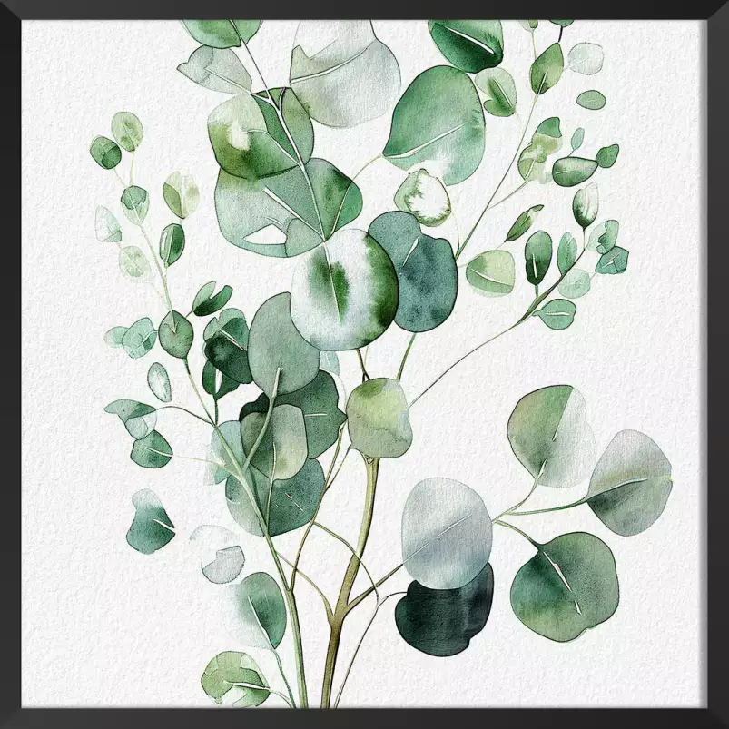 Aquarelle et eucalyptus - poster plante