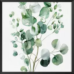 Aquarelle et eucalyptus - poster plante