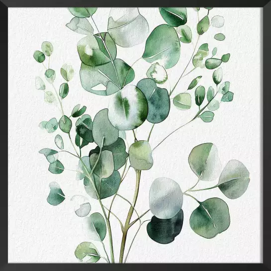 Aquarelle et eucalyptus - poster plante